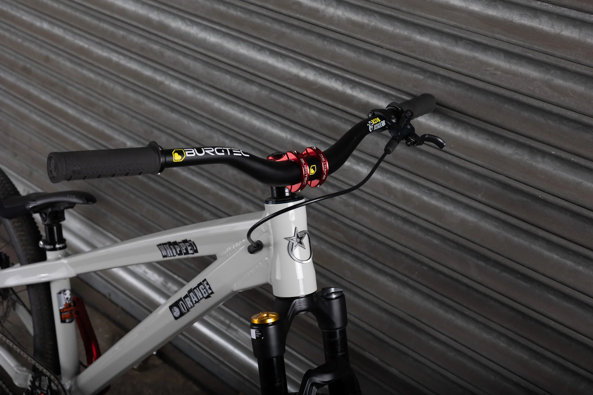 Ex-Demo 2025 Whippet, Smoke White - Image 5