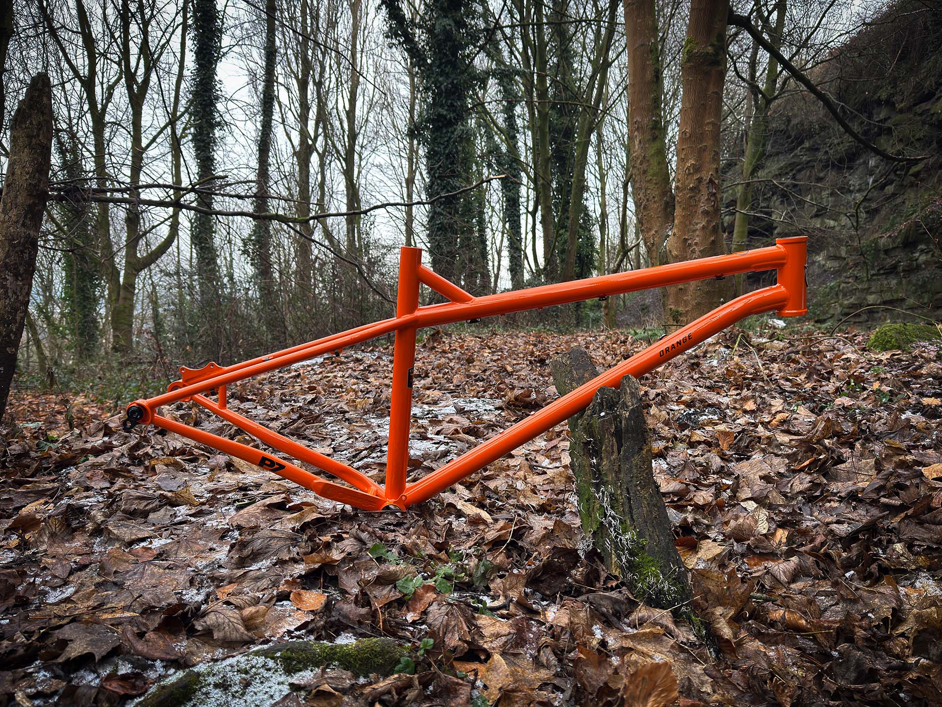 P7 MX Frame - Image 5