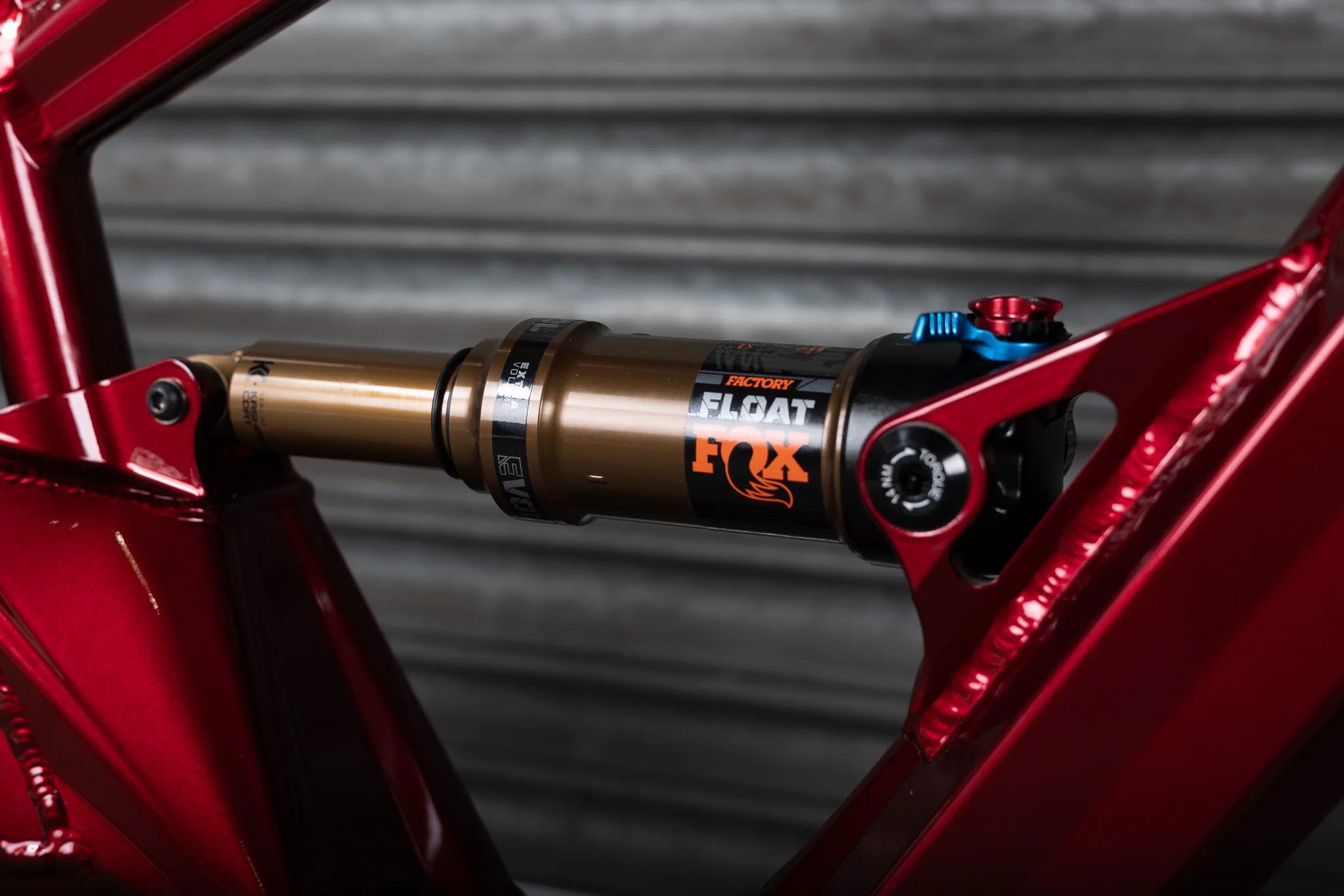 Phase Evo, Large, Oxblood Red CUSTOM BUILD - Image 8